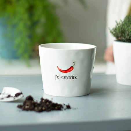Vaso Peperoncino, con sottovaso