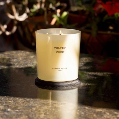 Cereria Mollà - Velvet Wood Candle